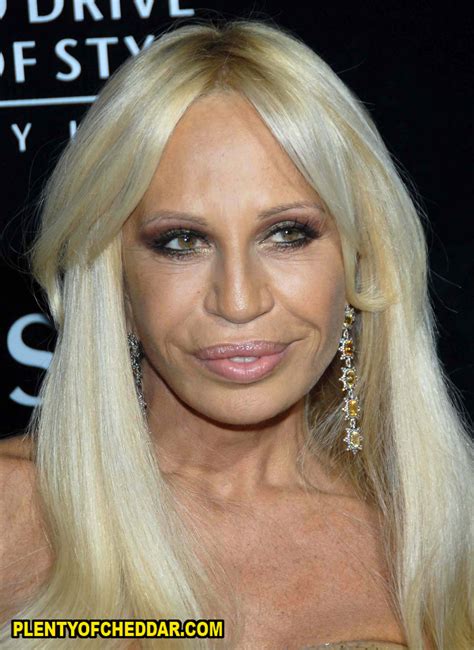 donatella versace net worth